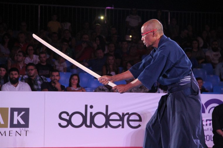 Martial Arts Festival